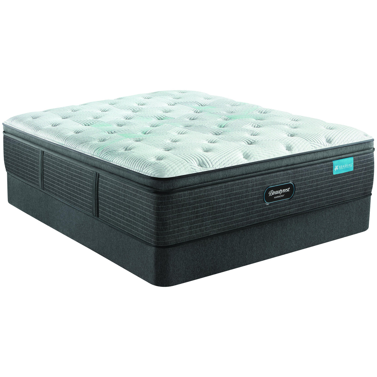 Beautyrest Compassion Plush Pillow Top Mattress Queen